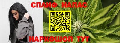 прущие грибы Усть-Илимск